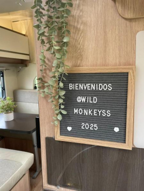 Autocaravanas Wild Monkeys